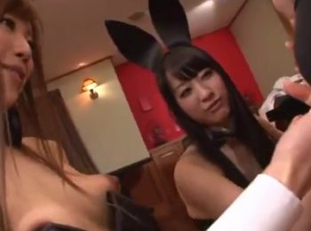 エロバニーたちに囲まれて好き放題されるハーレムパコ痴女コスプレパンスト乱交のアダルト動画