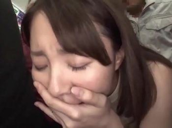 電車内で混雑具合に文句言ってるセレブ妻に庶民チンポが制裁！うるさい口を騙される強引挿入で悶絶イキ巨乳人妻レイプ痴漢のアダルト動画