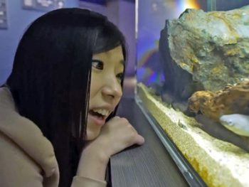 寝取られ願望のある彼氏がJK彼女をAV出演させる素人女子校生美少女のアダルト動画